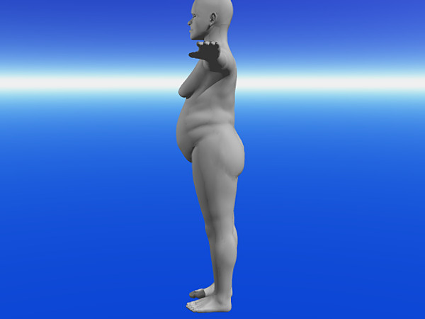 3d fat model - wmnfat.obj by Wanderley