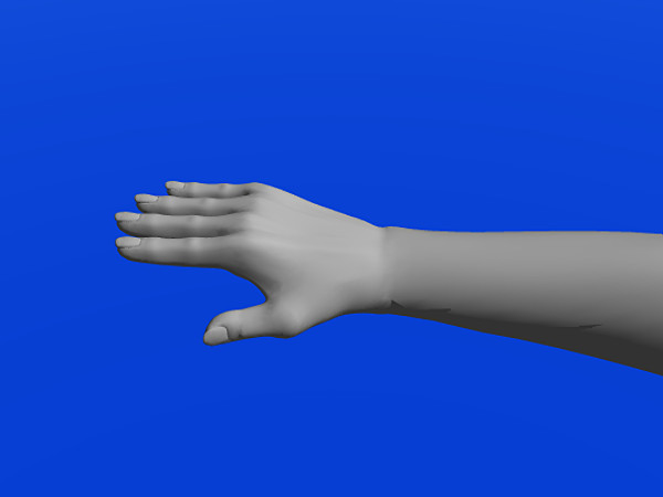3d fat model - wmnfat.obj by Wanderley