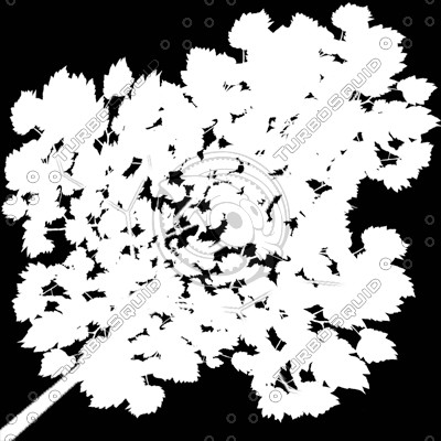 Branch_Euro_8.tga