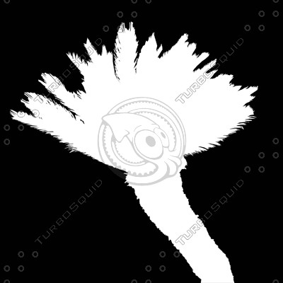 Palm_N_05.tga