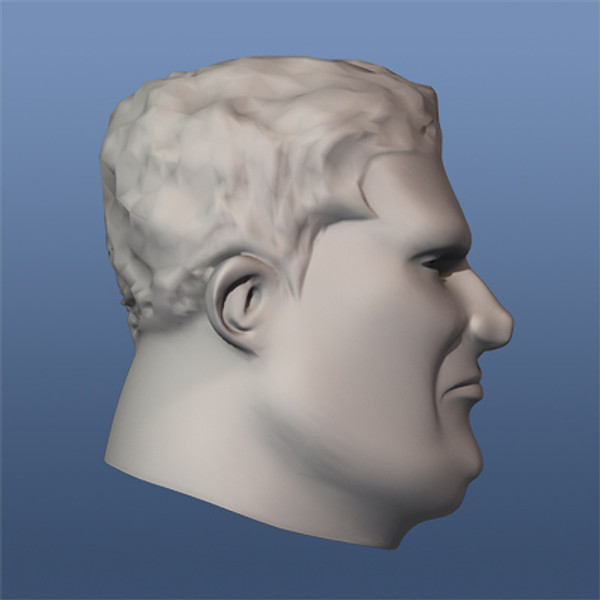 3d head character model - Cartoon Head01.zip by SquidMedia