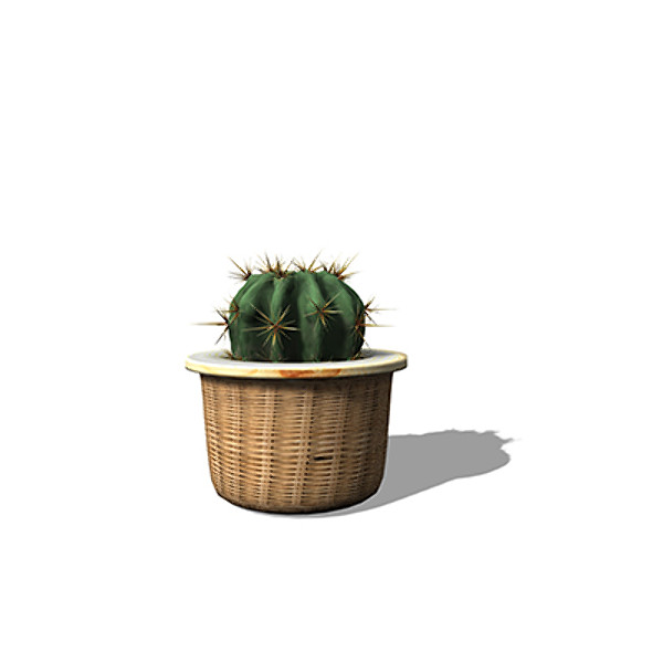 3d xfrogplants electrode cactus plant - XfrogPlants Electrode Cactus by xfrog