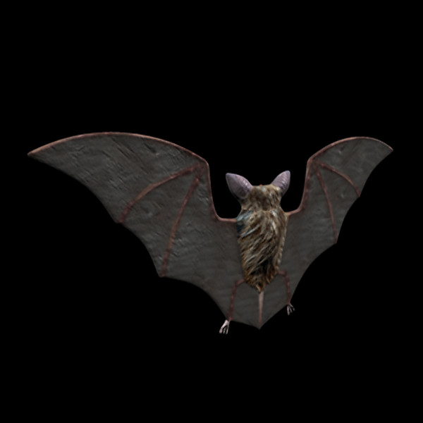 rigged bat 3d ma - Bat Rig... by BogusIndustries