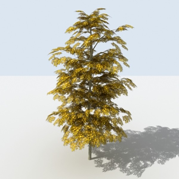 Tree - OAK_01