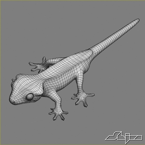 gecko rhacodactylus lizard geko 3d model - Lizard 5 Geko Rhacodactylus by shiva3d