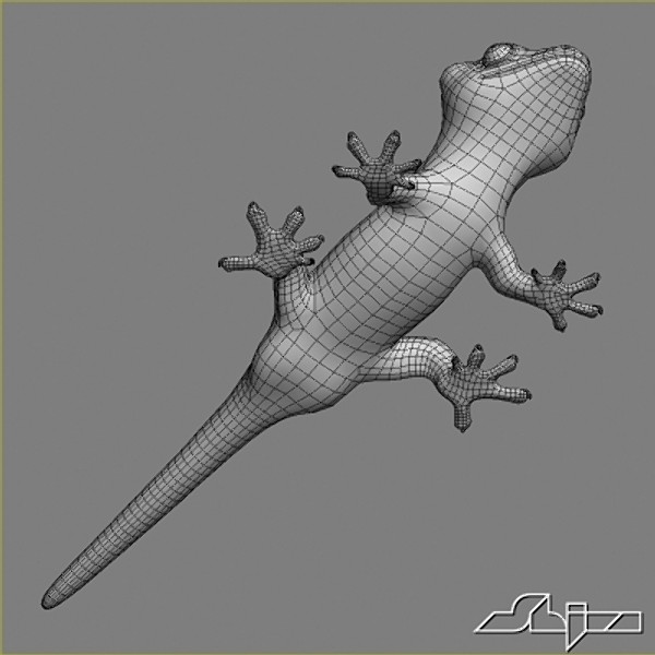 gecko rhacodactylus lizard geko 3d model - Lizard 5 Geko Rhacodactylus by shiva3d