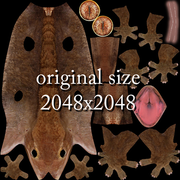 gecko rhacodactylus lizard geko 3d model - Lizard 5 Geko Rhacodactylus by shiva3d