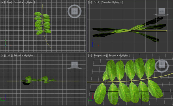 brazilian pepper tree branch 3ds - Brazilian Pepper Tree Branch & Leaves by Imagetek3D