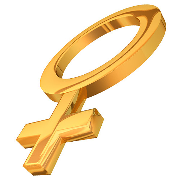 female symbol 3d model - Female Symbol by NesAn Studio