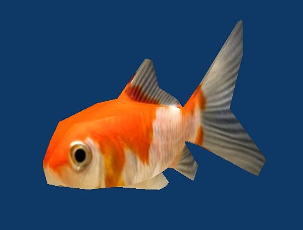 3ds max low-poly comet goldfish - comet_goldfish.zip by cameronpv