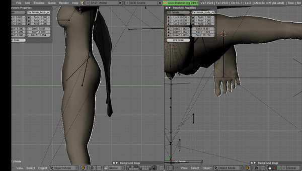 free female bump spec 3d model - female... by japrogramer