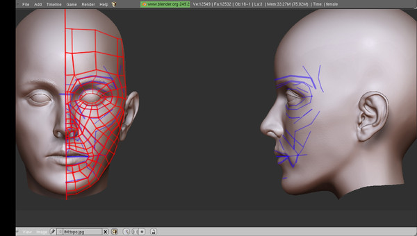 free female bump spec 3d model - female... by japrogramer