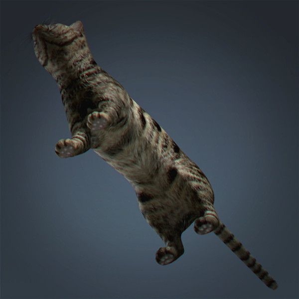 lightwave cat feline - Domestic Cat by NONECG