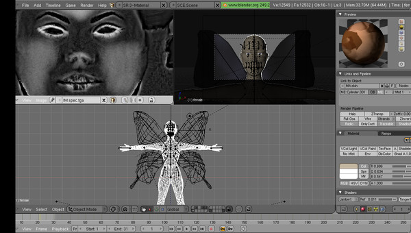 free female bump spec 3d model - female... by japrogramer