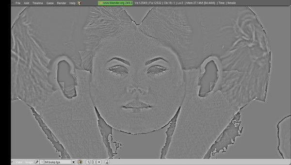 free female bump spec 3d model - female... by japrogramer