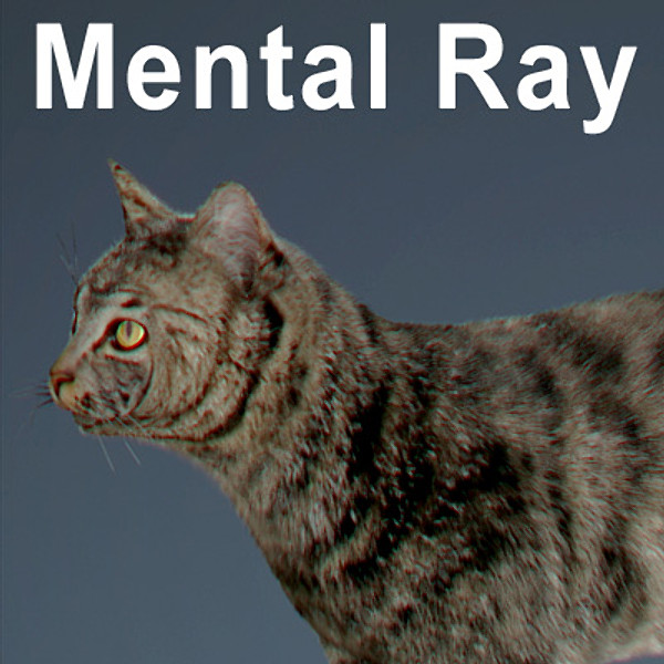 cat hair feline max - Domestic Cat - Hair by NONECG