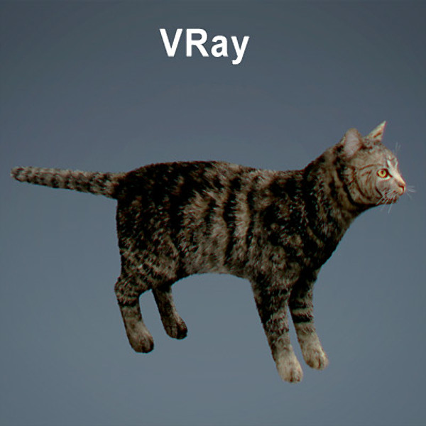 cat hair feline max - Domestic Cat - Hair by NONECG