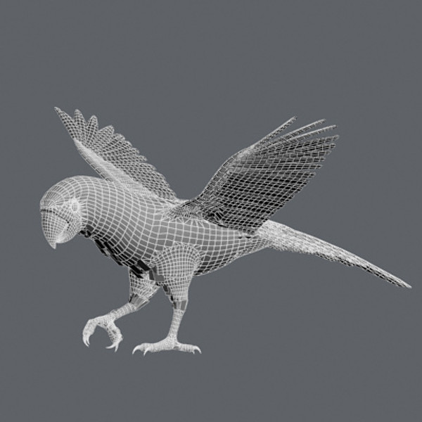 Animated Parrots Pack