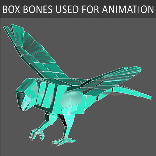 Animated Parrots Pack
