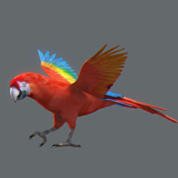 Animated Parrots Pack