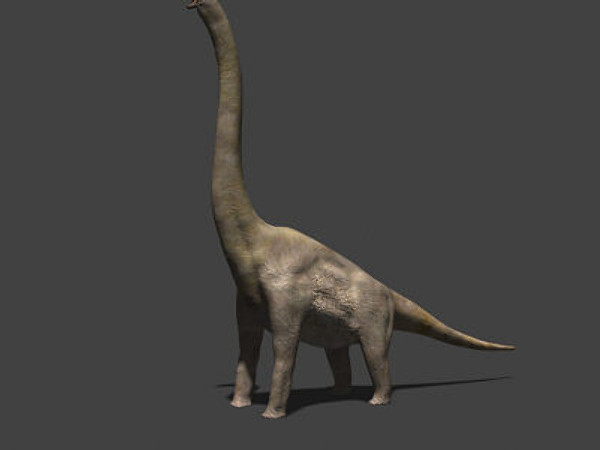 3d model of jurassic brachiosaur - True JP Brachiosaur OBJ by Virtual creator
