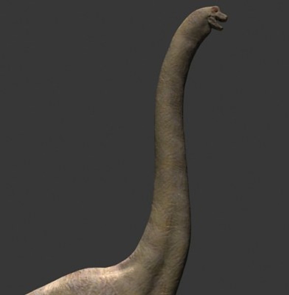 3d model of jurassic brachiosaur - True JP Brachiosaur OBJ by Virtual creator