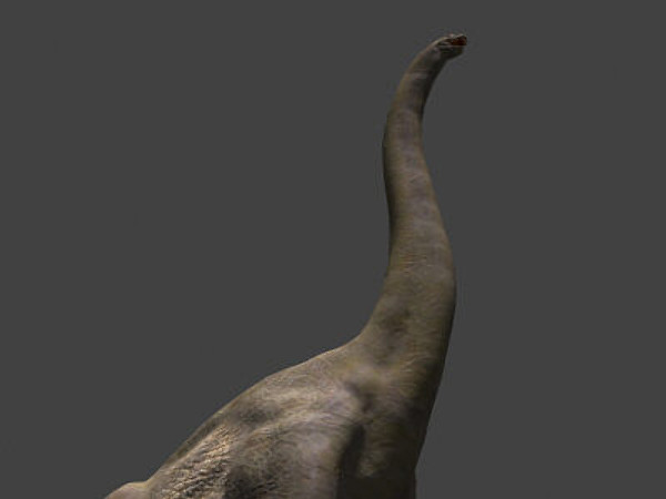 3d model of jurassic brachiosaur - True JP Brachiosaur OBJ by Virtual creator