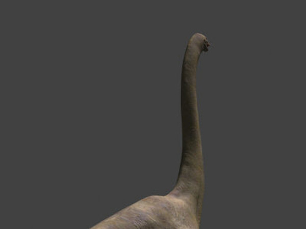 3d model of jurassic brachiosaur - True JP Brachiosaur OBJ by Virtual creator