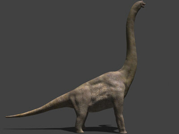 3d model of jurassic brachiosaur - True JP Brachiosaur OBJ by Virtual creator