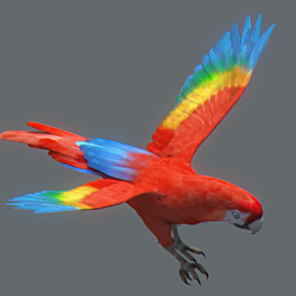 Animated Parrots Pack