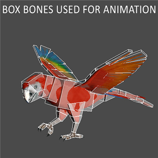 Animated Parrots Pack