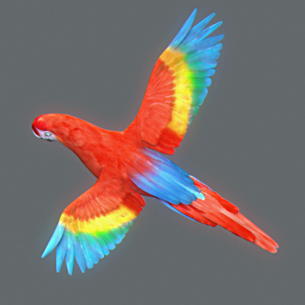 Animated Parrots Pack