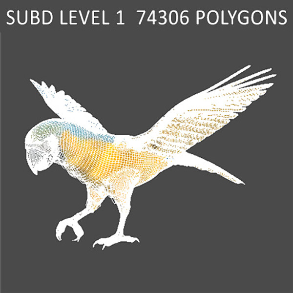 Animated Parrots Pack