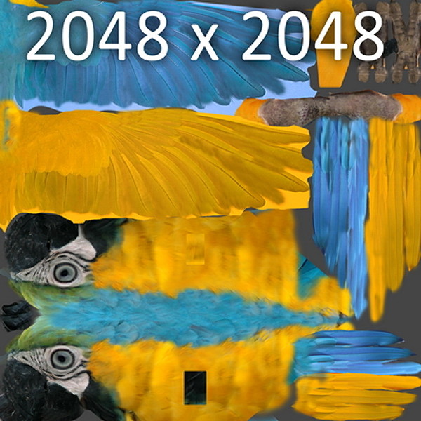 Animated Parrots Pack