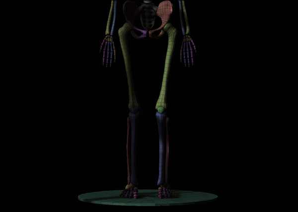 3ds skeleton zbrush 4 - Skeleton... by Leppee