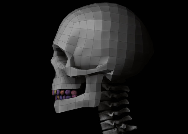 3ds skeleton zbrush 4 - Skeleton... by Leppee