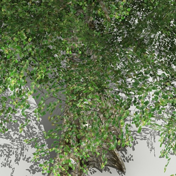 3d tree opacity - Tree 04 by fabelar