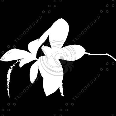 Branch_s_28.tga