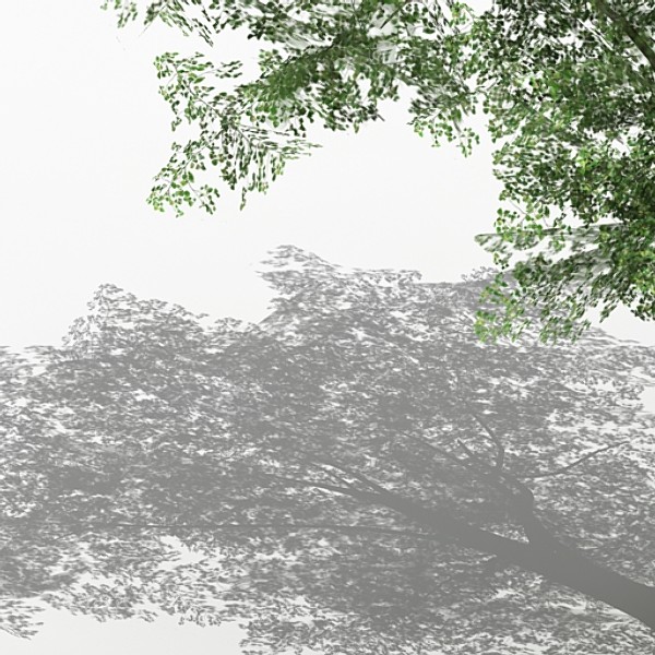 3d tree opacity - Tree 04 by fabelar