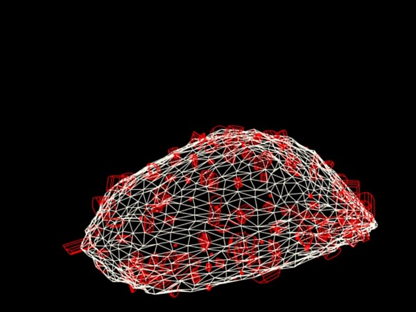 realgar mineral 3d model - RealgarMineral.zip by NeoSunaru