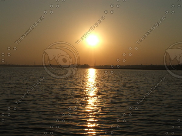 Glorious Sunshine