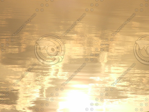 Glorious Sunshine