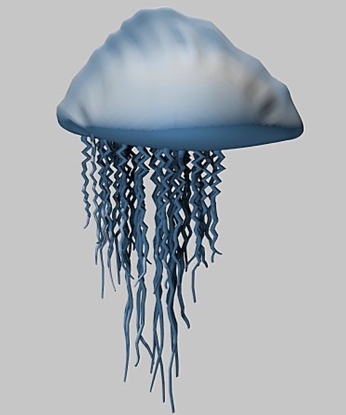 3d portuguese man-o-war model - Portuguese Man-O-War by GraphicGuru