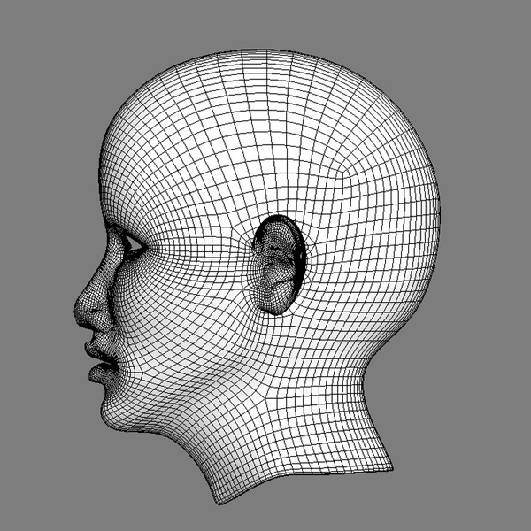 basic female head max - BasicHead_Female by vitamin_e