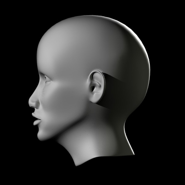 basic female head max - BasicHead_Female by vitamin_e
