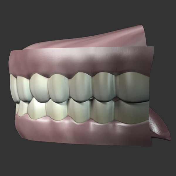 teeth tongue 3ds - Teeth & Tongue by Gra_Gra_74