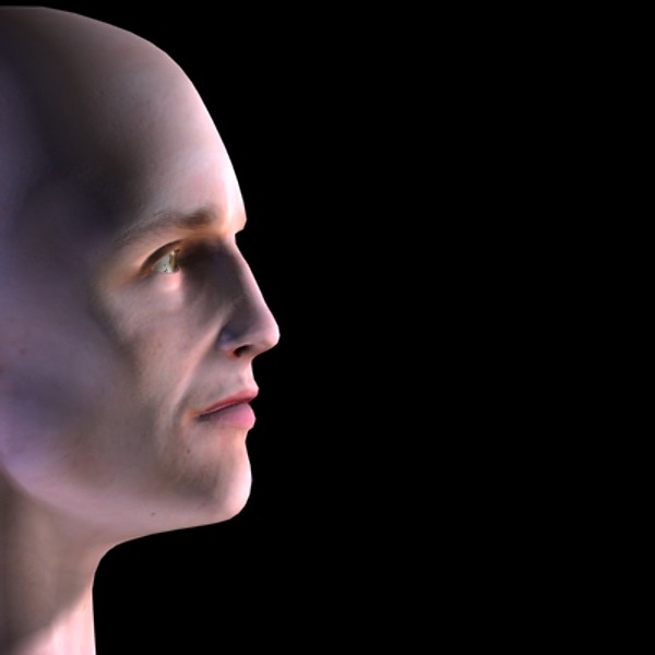 maya male head guy - Head by MKMS