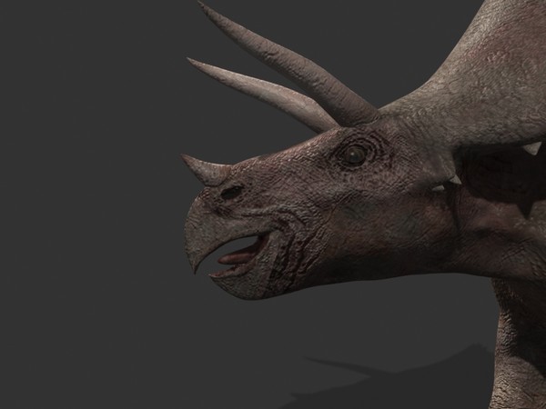 jp triceratops 3d obj - True Jp Triceratops Obj by Virtual creator