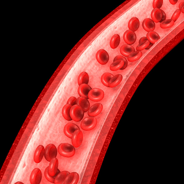 3ds max neuron chromosome blood vessel - Neuron, Chromosome, Blood Vessel by TurboPhoton