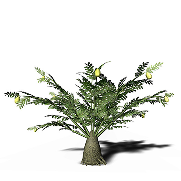 xfrogplants alethopteris plant 3ds - XfrogPlants Alethopteris by xfrog